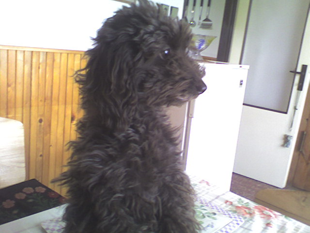 Foto0064.jpg