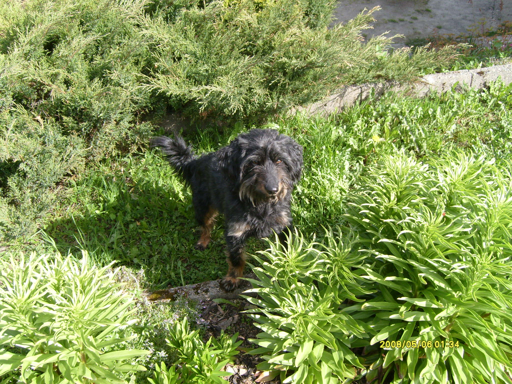 S7300338.JPG